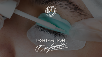 Product image for Lamimaker Program