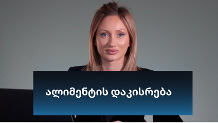 Product image for ალიმენტის დაკისრება