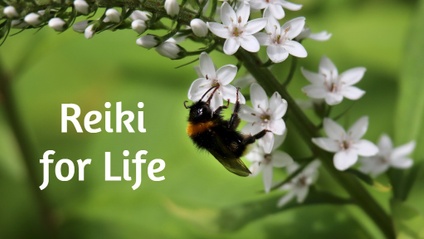 Product image for Reiki for Life