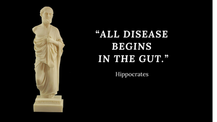 Product image for SuperHUMAN Gut Guide