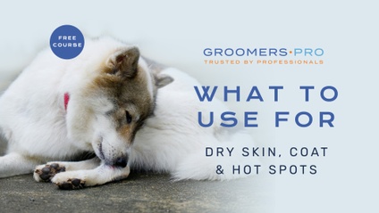 Product image for What to Use For... Dry Skin, Coat,  & Hot Spots?