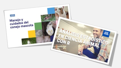 Product image for Paquete de dos cursos