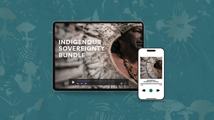 Product image for  Bundle - Indigenous Sovereignty