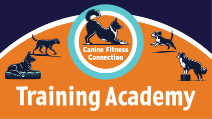Product image for What's Your Story Dog Training Academy