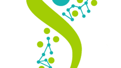 Product image for Stress and Skin Connection