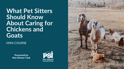 Product image for Mini Course: What Pet Sitters Should Know About Caring for Chickens and Goats