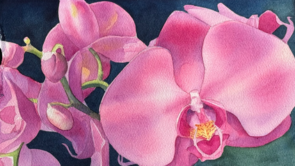 Product image for Watercolor Wonders: Painting the Pink Moth Orchid