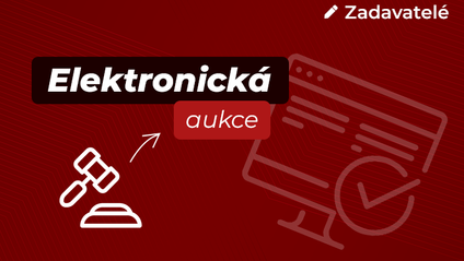 Product image for Elektronická aukce