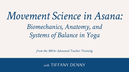 Product image for Anatomy Studies with Tiffany Denny 2025-26 Cohort