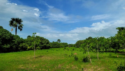 Product image for Land Consultation (45 min session)