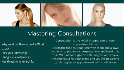 Product image for Mastering Consultations