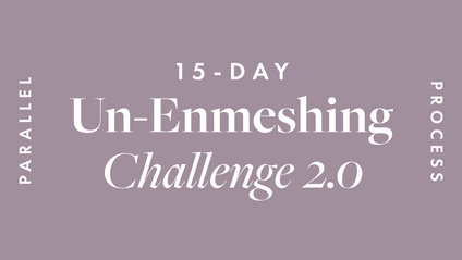 Product image for Un-Enmeshing  2.0: A 15-day Challenge
