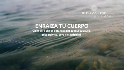 Product image for Suryaflow Practice