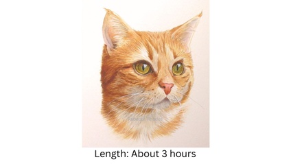 Product image for Orange Cat in Watercolor