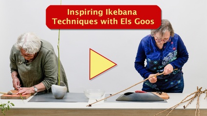 Product image for Inspiring Ikebana Techniques with Els Goos