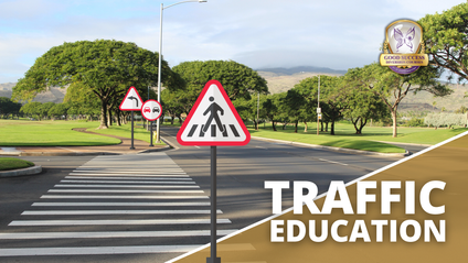 Product image for Traffic Education