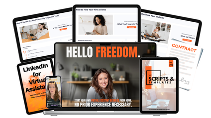 Product image for The VA Business Blueprint 2.0