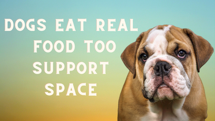 Product image for Dogs Eat Real Food Too