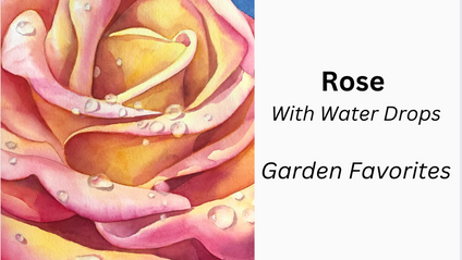 Product image for Rose with Water drops, Workshop Replay