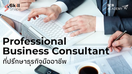 Product image for PROFESSIONAL BUSINESS CONSULTANT