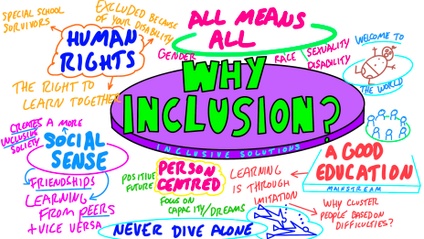 Product image for Why Inclusion?