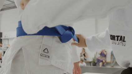 Product image for Portal Blue Belt Requirements