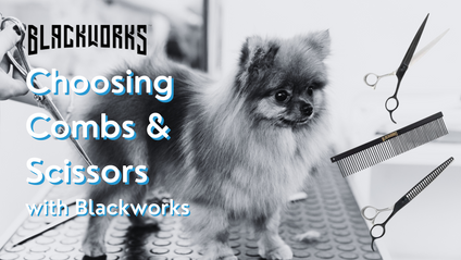 Product image for Choosing Combs and Scissors with Blackworks