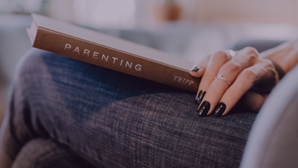 Product image for 2024 The Parent Practice Parent Educator Course