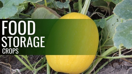 Product image for 5 garden crops for food storage