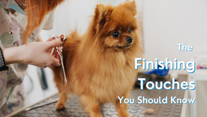 Product image for The Finishing Touches You Should Know