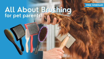 Product image for All About Brushing - For Pet Parents