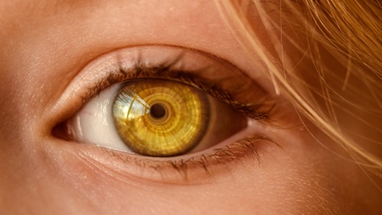 Product image for "Renueva tu Mirada"
