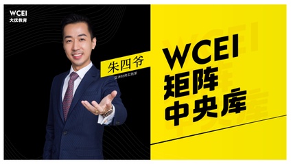 Product image for (朱四爷) WCEI 矩阵法 中央库