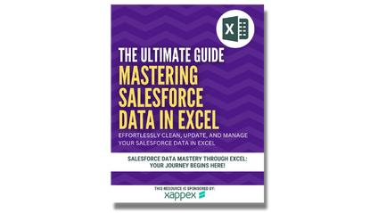 Product image for Mastering Salesforce Data in Excel