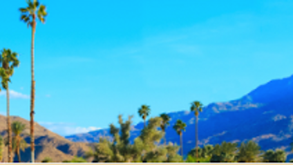 Product image for BBB 2025 Conference - Bonus Content and Opportunities!