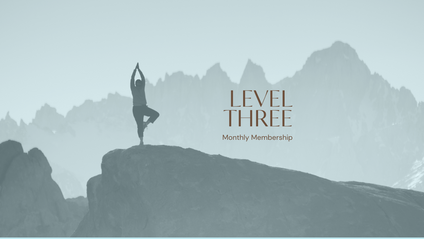 Product image for Level 3 - Monthly Membership