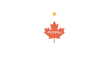 Product image for Beyond Awana 