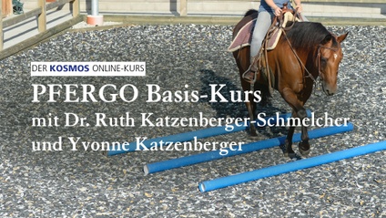 Product image for PFERGO Online-Kurs