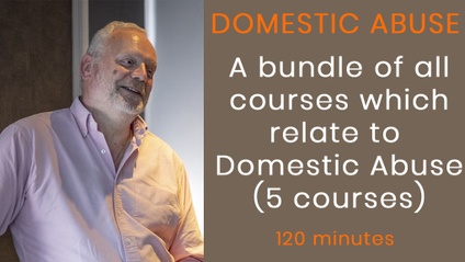 Product image for Domestic Abuse