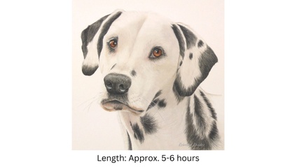 Product image for Dalmatian Dog in Watercolor