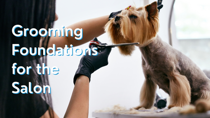 Product image for Grooming Foundations For The Salon