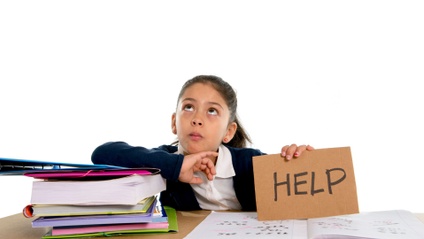 Product image for Understanding Behavior in Neurodiverse Children