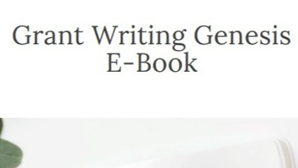 Product image for Grant Writing Genesis eBook