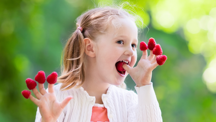Product image for Picky Eating Series 2024 - Four Different Lenses