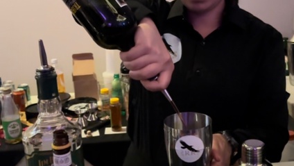 Product image for Bartending 101 &amp; How To Start Your Own Mobile Bartending Business