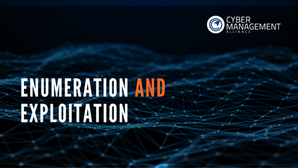 Product image for Enumeration and Exploitation 