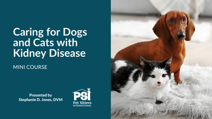 Product image for Mini Course: Caring for Dogs and Cats with Kidney Disease