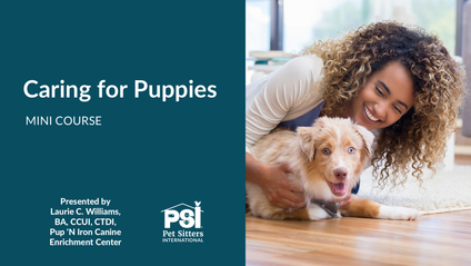 Product image for Mini Course: Caring for Puppies