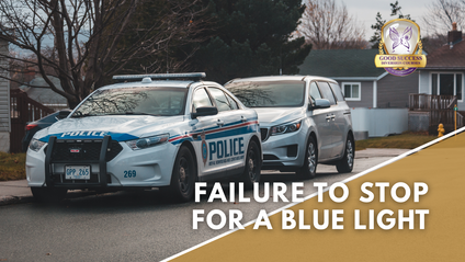 Product image for Failure to Stop for a Blue Light