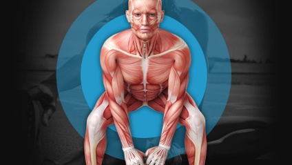 Product image for MUSCLES, MOBILITY & MOVEMENT BOOK (PDF)